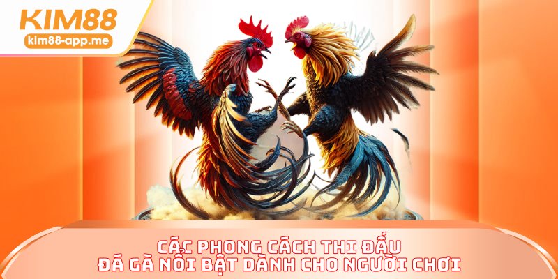 Các phong cách thi đấu đá gà nổi bật dành cho người chơi Các phong cách thi đấu đá gà nổi bật dành cho người chơi