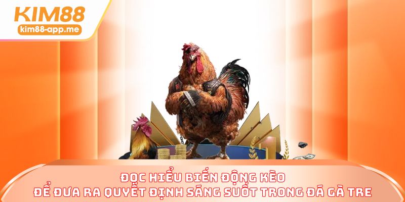 Đọc hiểu biến động kèo để đưa ra quyết định sáng suốt trong đá gà tre Đọc hiểu biến động kèo để đưa ra quyết định sáng suốt trong đá gà tre